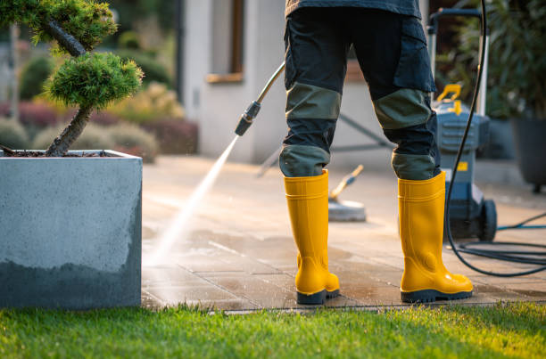Best Exterior Home Cleaning  in North Hudson, WI
